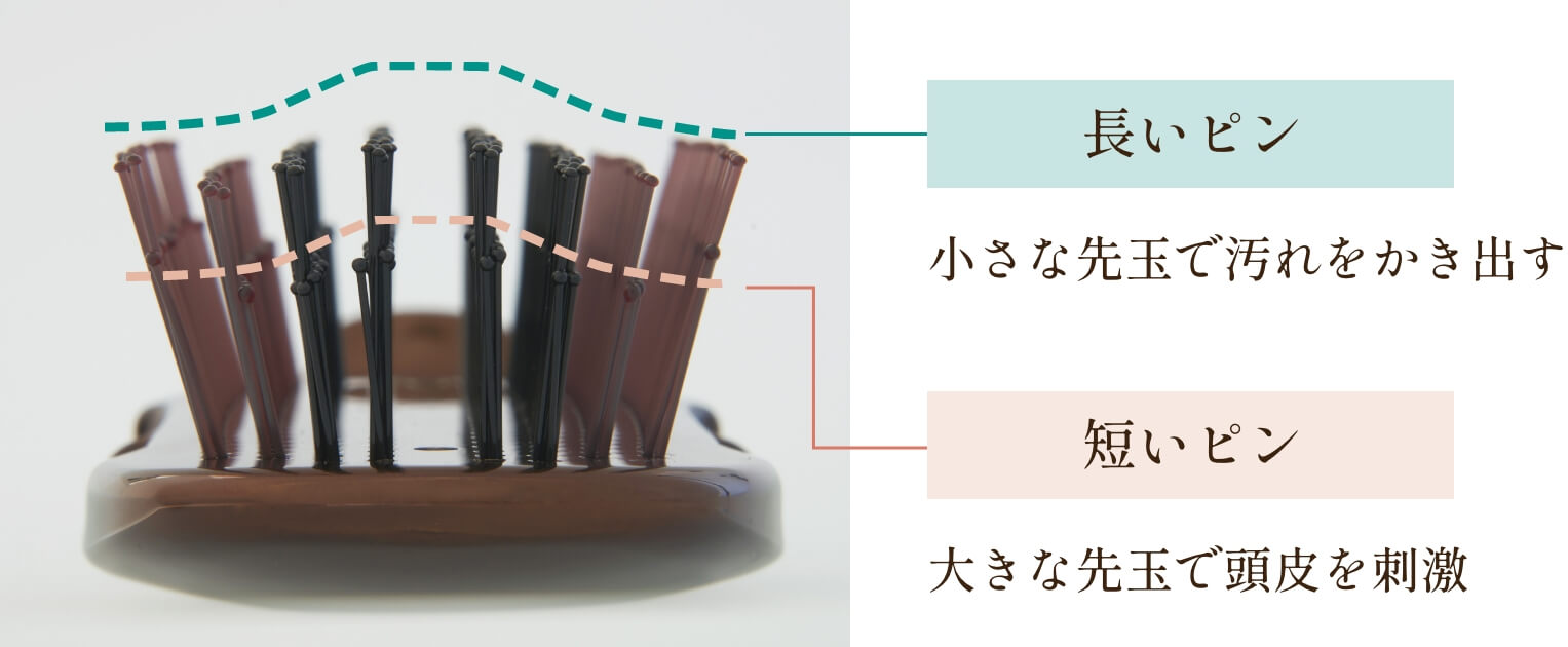密着設計のクラウン構造