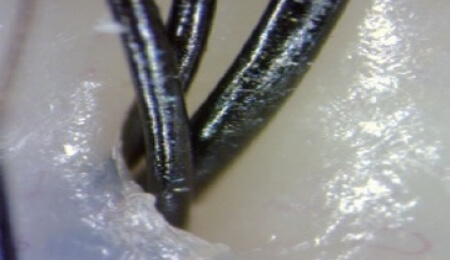 美髪を育む健やかな頭皮へ